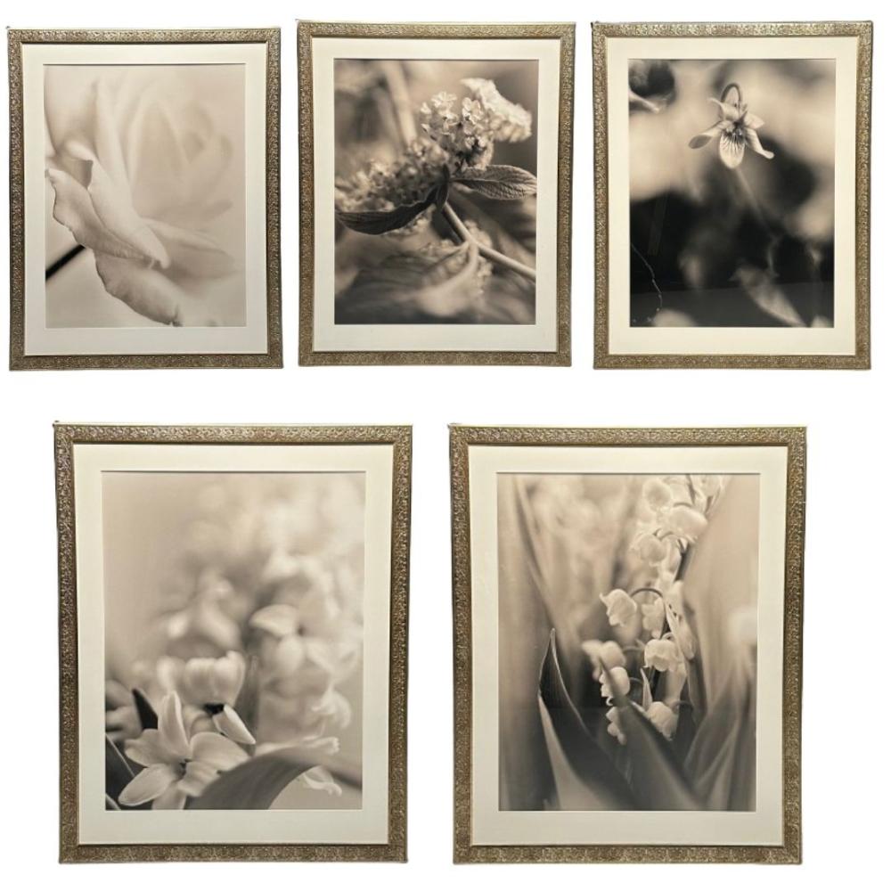 Modern, Large Black and White Photographs, Floral Still Life, Framed, 1990s