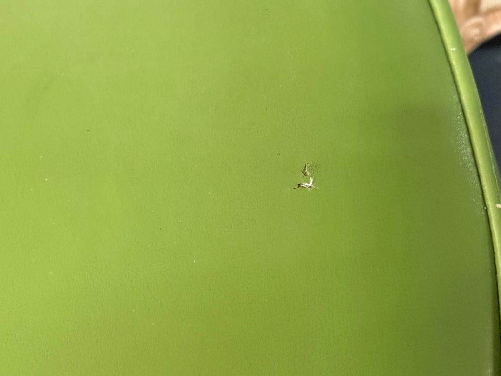 Dutch Modern, Bamboo, Green Leather, Three Barstools, Netherlands, 1970s