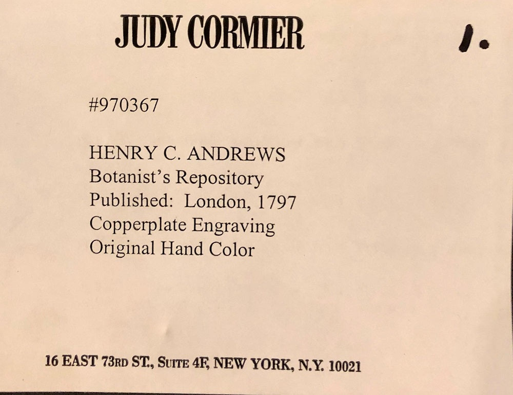 Two of the Hand Colored Botanist Repository Series 1797 Andrews, Henry 'British'