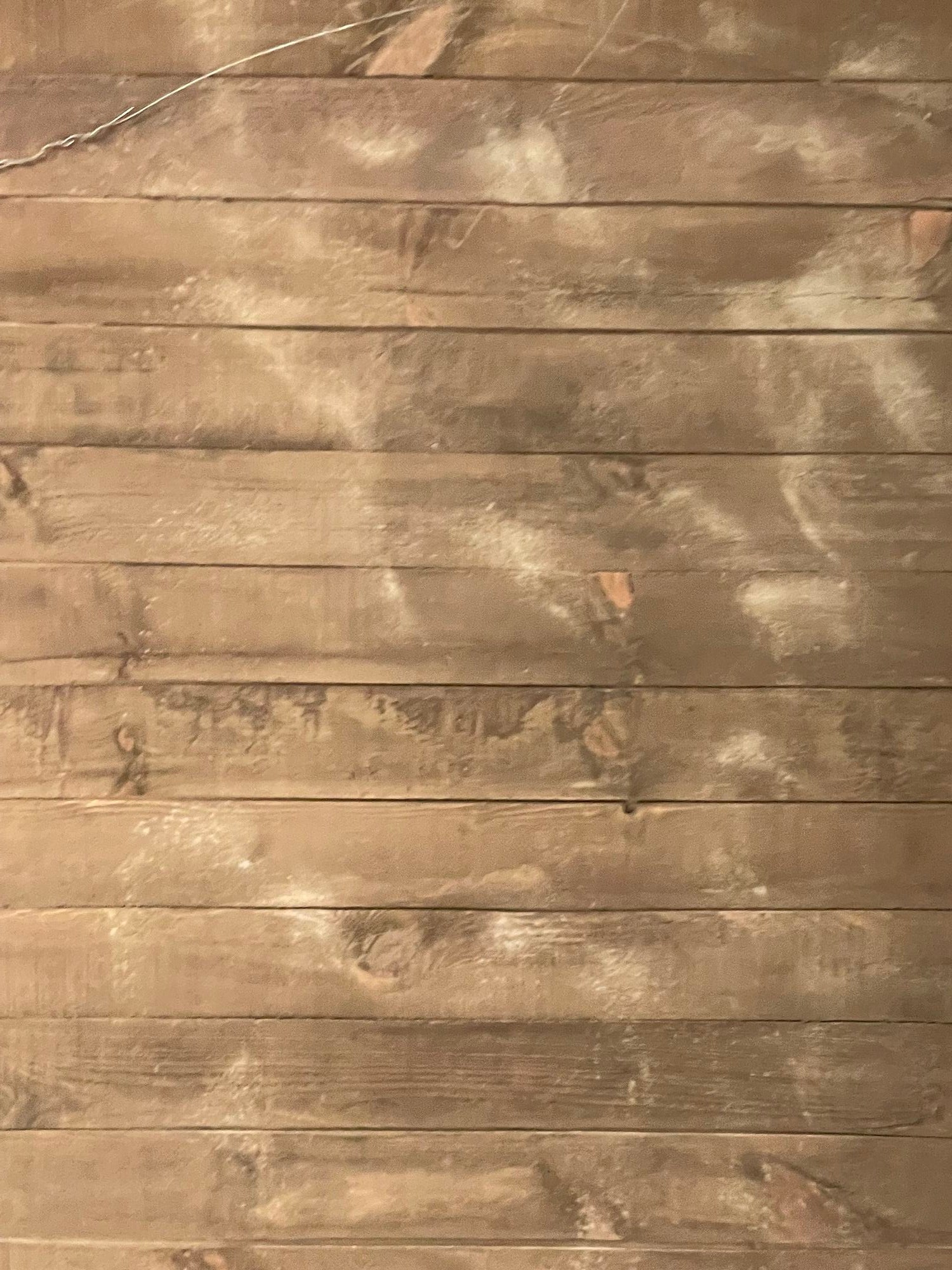 Louis XVI Style, Large Wall or Floor Mirrors, Giltwood, Gesso, Europe, 19th C.