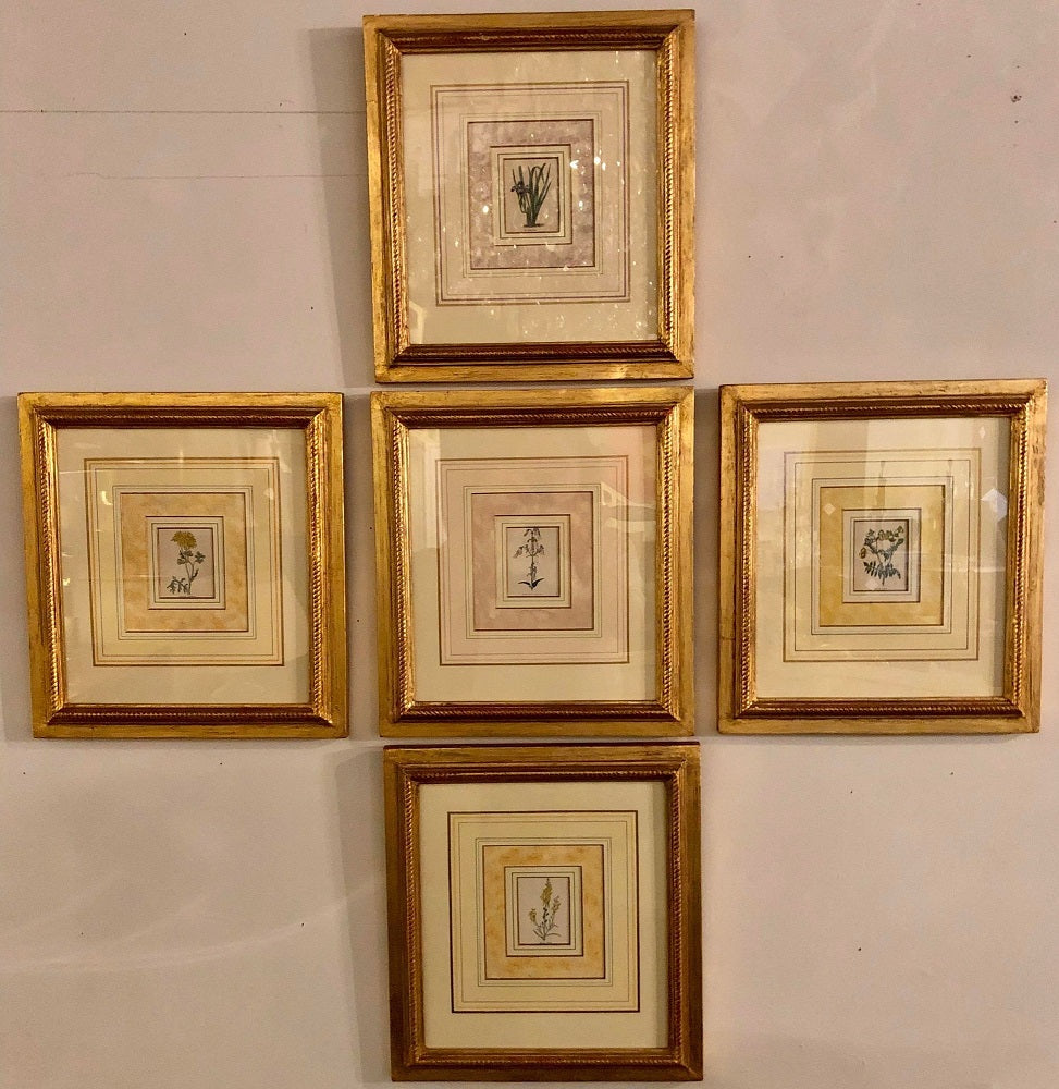 Ten Copperplate Engravings in Gilt Frames by Benjamin Maund, Judy Cormier Framed
