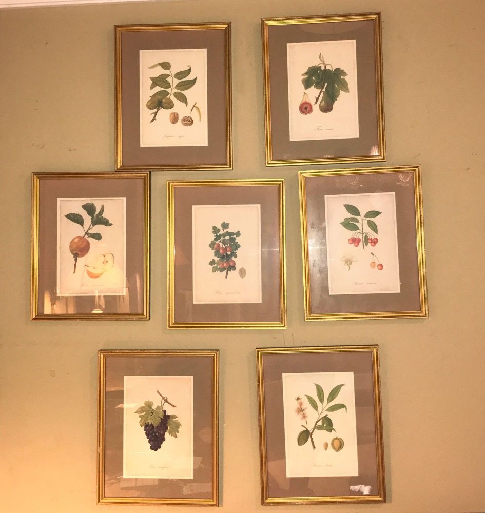 Set of Seven Botanical Prints of Fruit Signed Peter Drafet