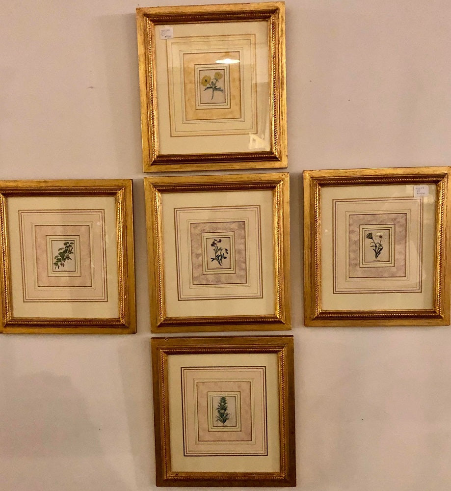 Ten Copperplate Engravings in Gilt Frames by Benjamin Maund, Judy Cormier Framed