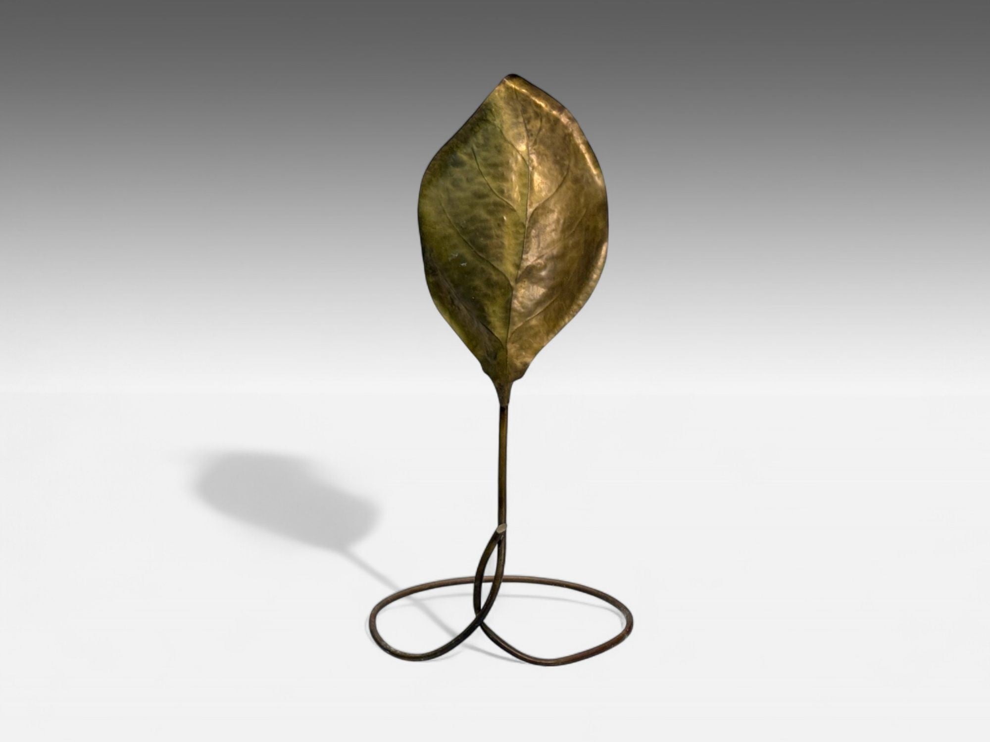 Tomasso Barbi, Patinated Brass, Ginko Leaf Floor Lamp, Italy, 1970s