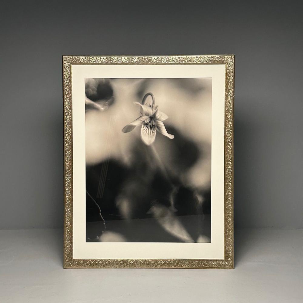 Modern, Large Black and White Photographs, Floral Still Life, Framed, 1990s