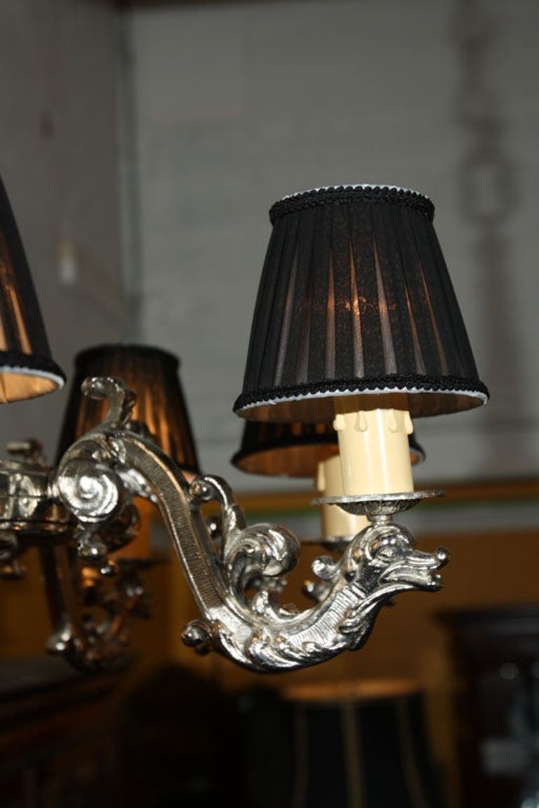 French Silver over Bronze Eight-Arm Chandelier