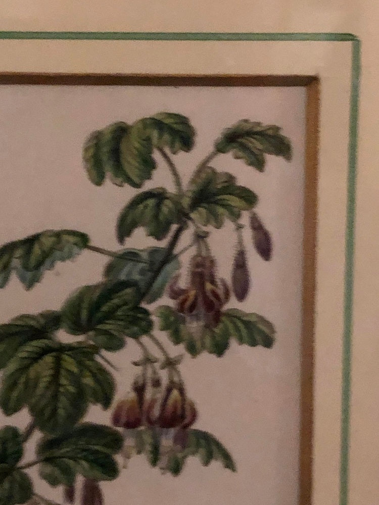 Ten Copperplate Engravings in Gilt Frames by Benjamin Maund, Judy Cormier Framed