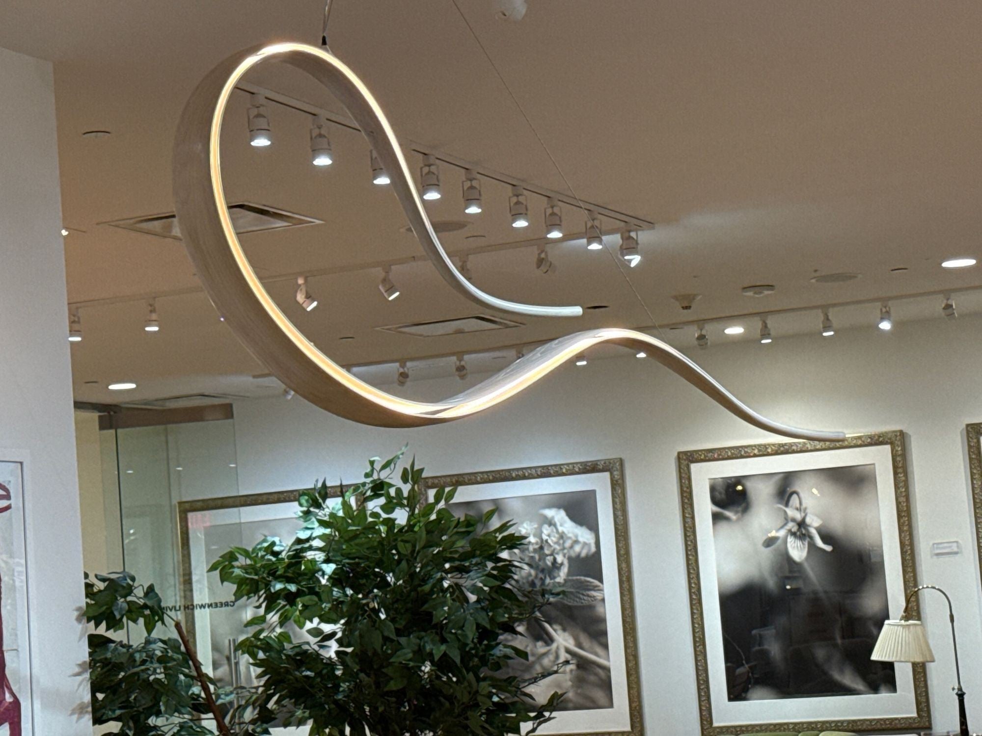 Adam Bentz, Contemporary, Ashwood, Organic Chandelier, LED, USA, 21st C.