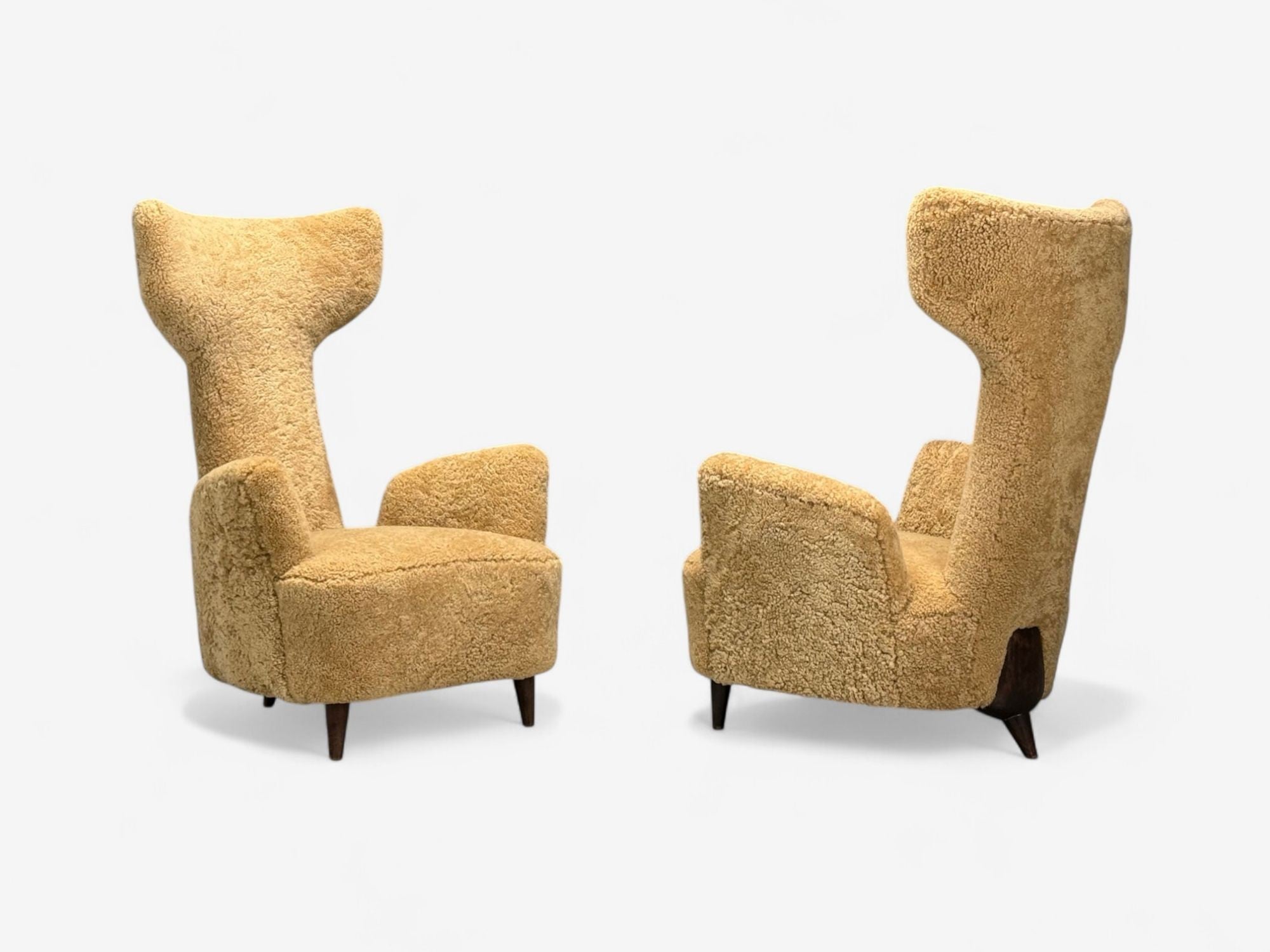 Renzo Zavanella, Honey Sheepskin, Wood, Rare Lounge Chairs, Italy, 1950s