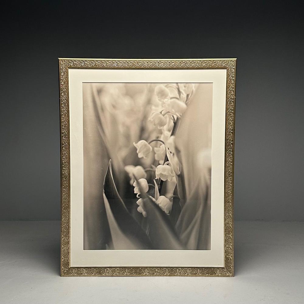 Modern, Large Black and White Photographs, Floral Still Life, Framed, 1990s