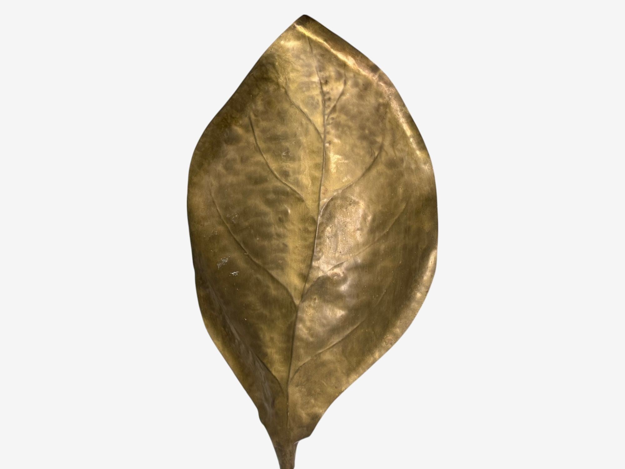 Tomasso Barbi, Patinated Brass, Ginko Leaf Floor Lamp, Italy, 1970s
