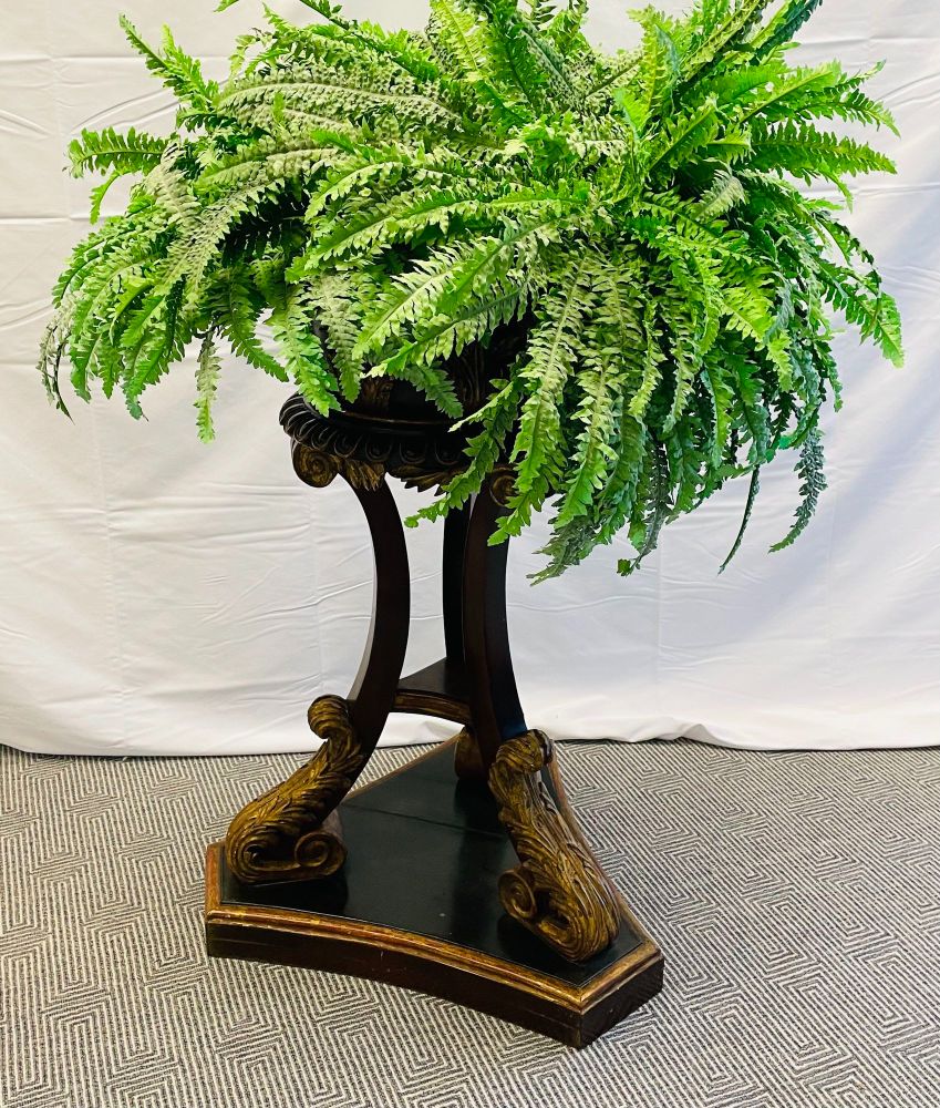 Georgian Gilt Wood Planter, Jardinière, Ebony and Gilt Design