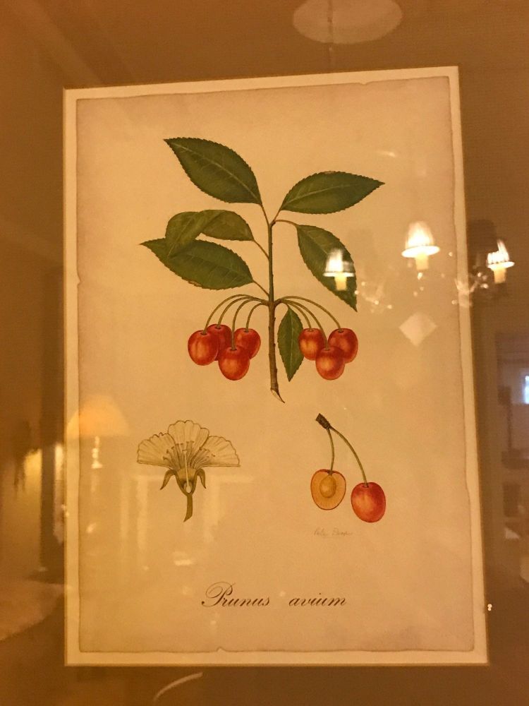 Set of Seven Botanical Prints of Fruit Signed Peter Drafet