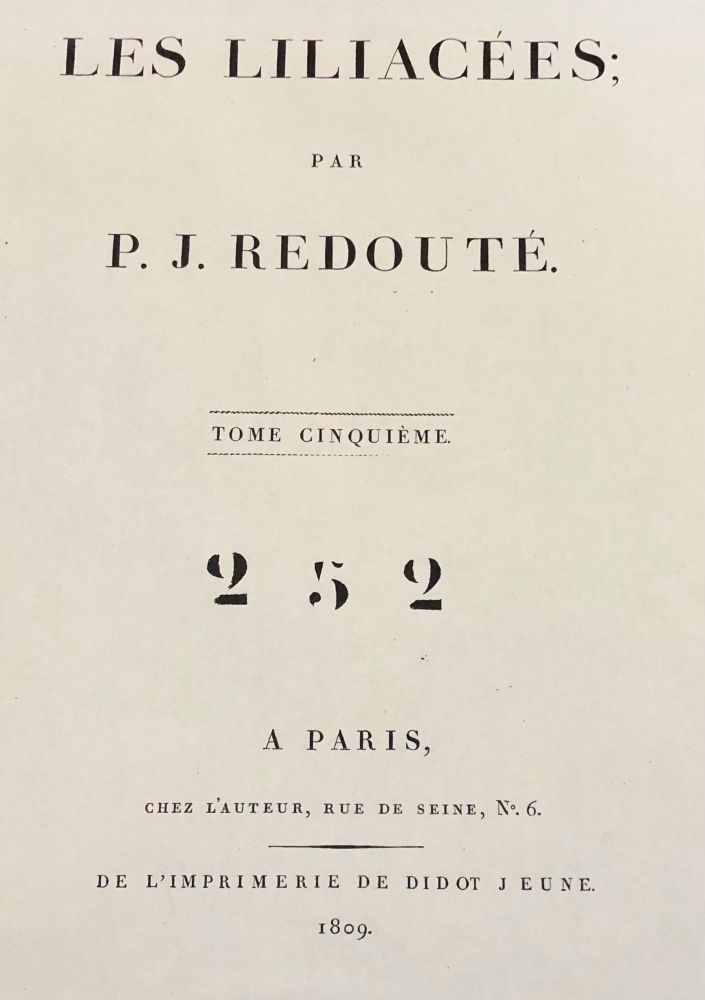 Phalangium Liliastrum Hand Painted Colored Engraving Signed P.J. Redoute