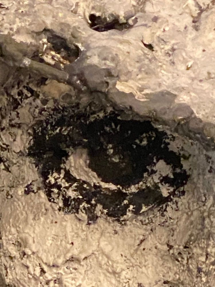 Palatial Sculpture of Henri Robert-Marcel Duchamp by Ursula Meyer