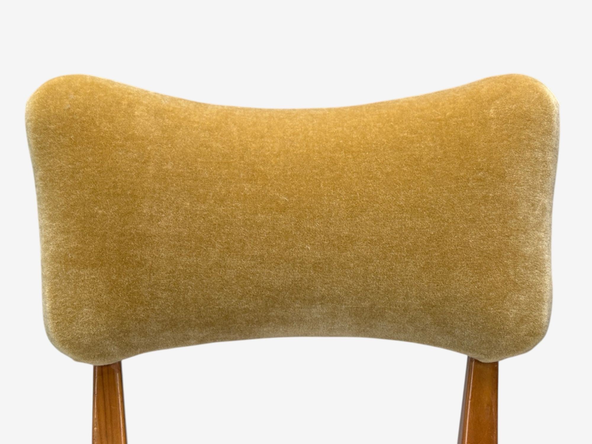 Guglielmo Pecorini, Stained Wood, Camel Mohair, Low Lounge Chair, Italy, 1950s