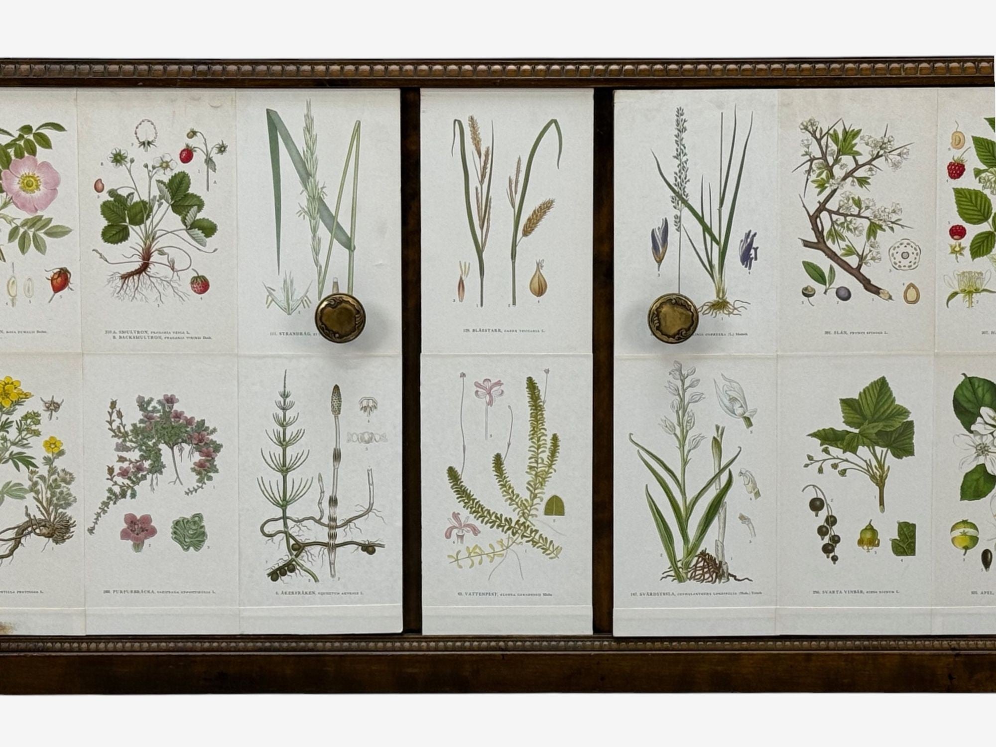 Swedish Modern, Nordens Flora Credenza, Wallpaper, Birch, Sweden, 1940s