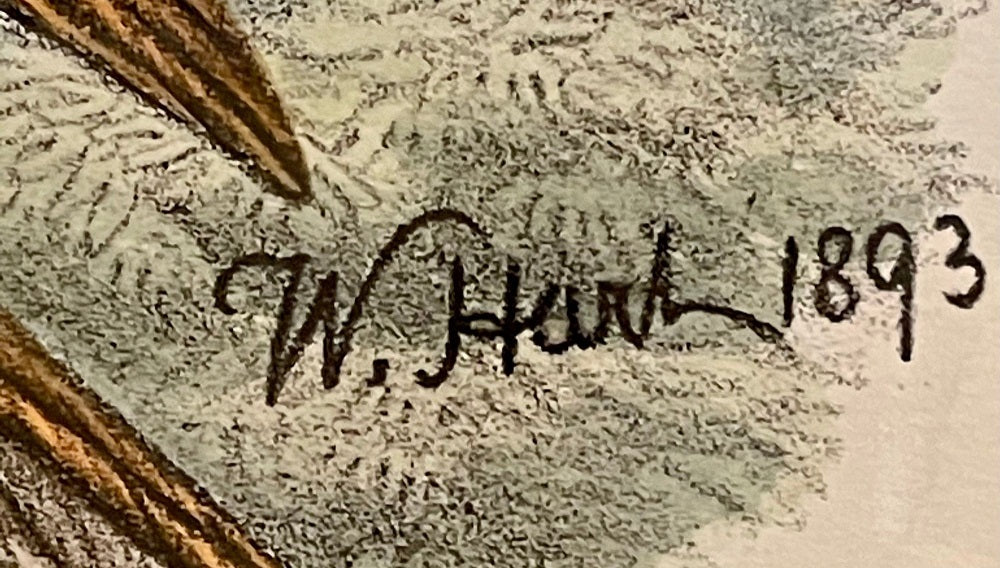 19Th Century Pair of Colored Lithographs Birds, Custom Framed, Signed and Dated