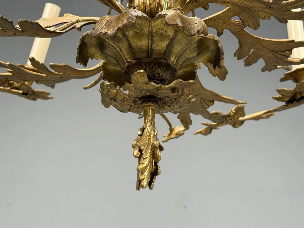 Rococo Style, Leaf and Vine Chandelier, Dore Bronze, Italy, 1920s