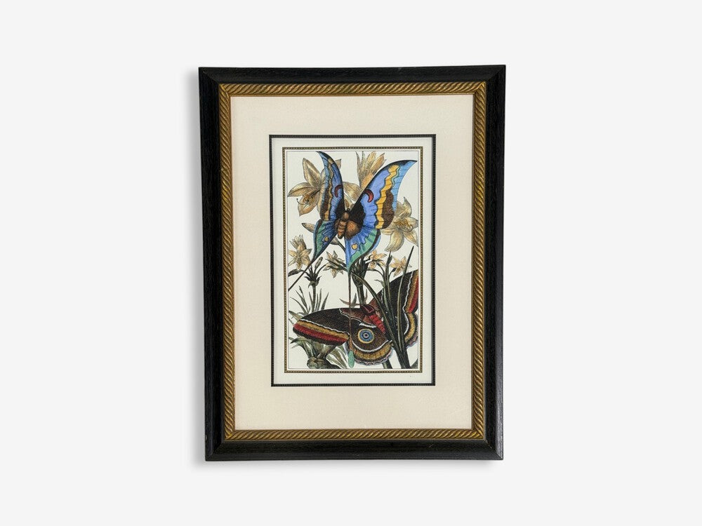 Victorian Style, Framed Butterfly Prints, Gilt, Painted Wood, USA, 20th c.