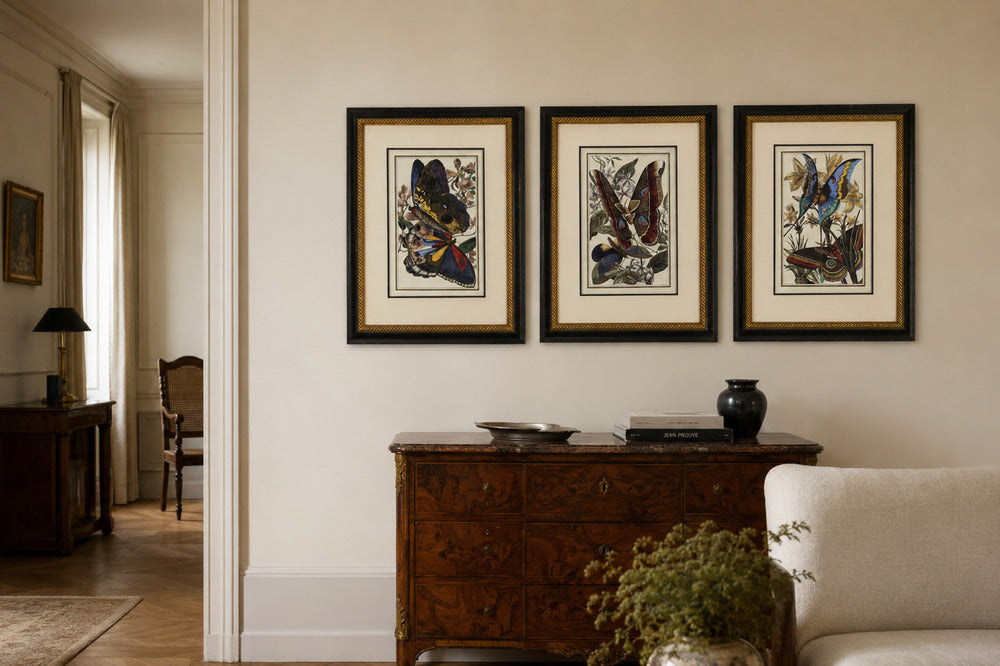Victorian Style, Framed Butterfly Prints, Gilt, Painted Wood, USA, 20th c.