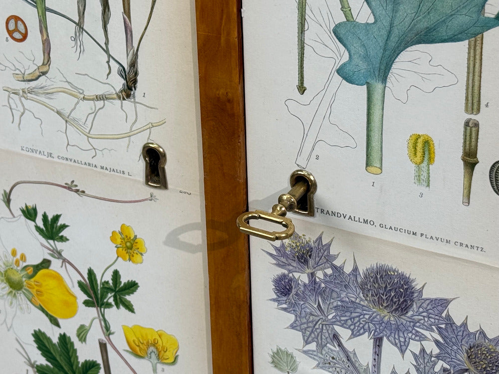 Swedish Modern, Nordens Flora Cabinet, Birch, Floral Lithographs, Sweden, 1940s