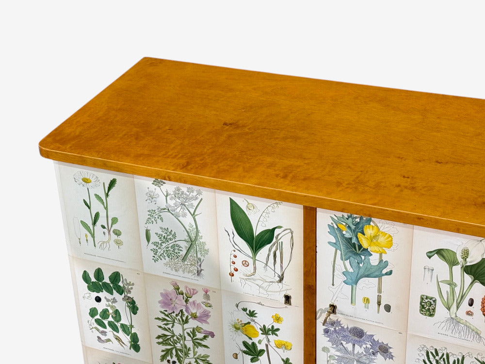 Swedish Modern, Nordens Flora Cabinet, Birch, Floral Lithographs, Sweden, 1940s
