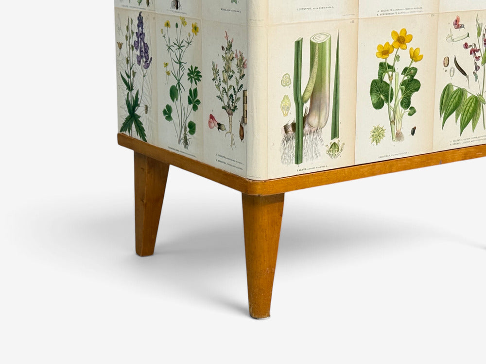 Swedish Modern, Nordens Flora Cabinet, Birch, Floral Lithographs, Sweden, 1940s