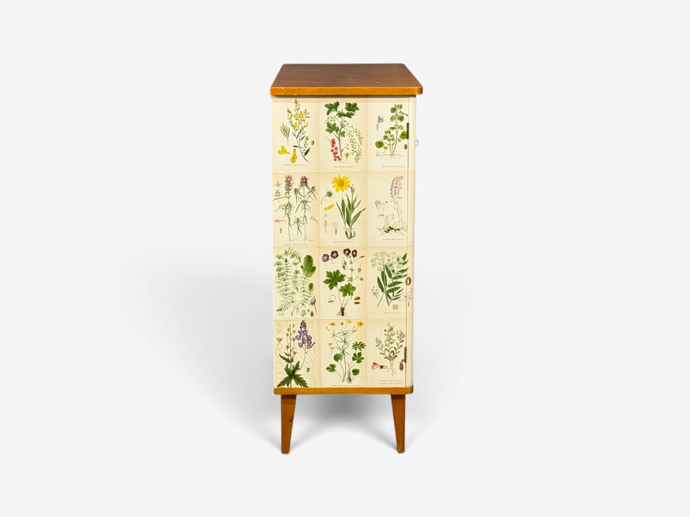 Swedish Modern, Nordens Flora Cabinet, Birch, Floral Lithographs, Sweden, 1940s