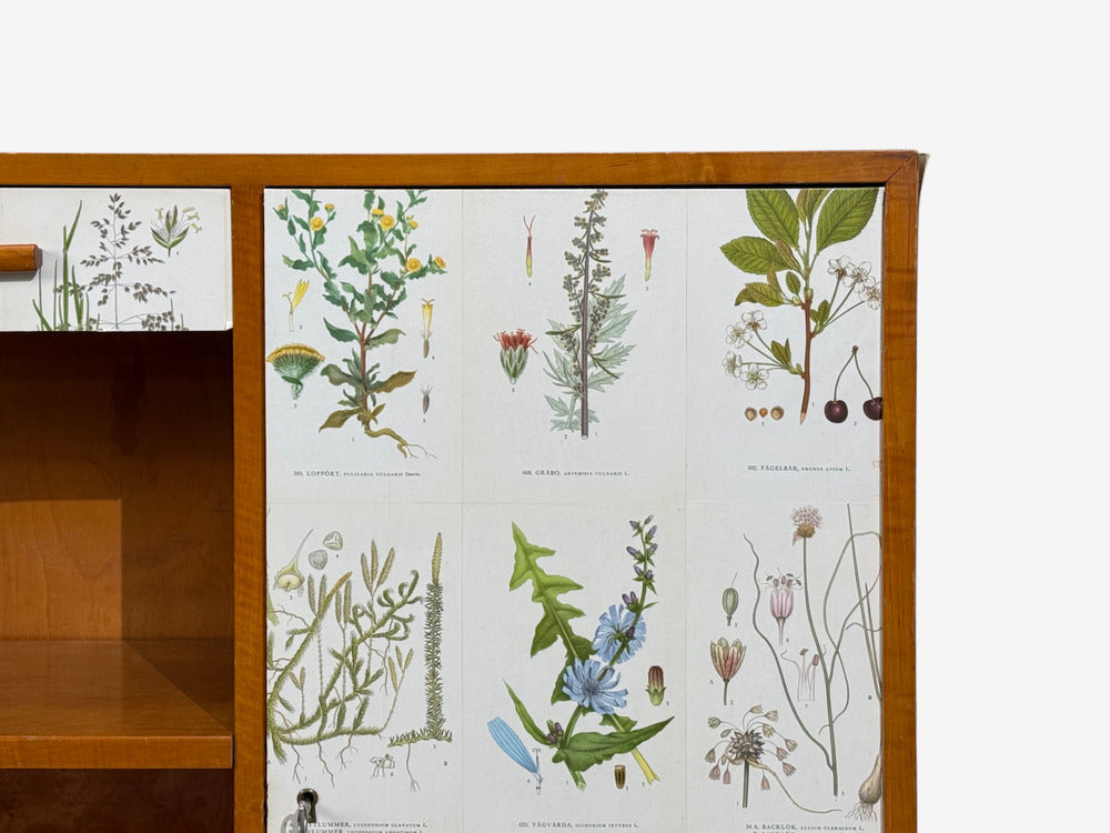 Swedish Modern, Nordens Flora Bookcase, Birch, Floral Lithographs, Sweden, 1940s