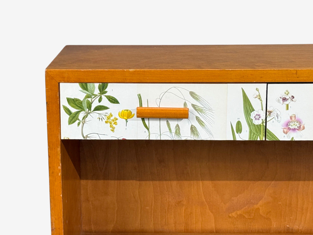 Swedish Modern, Nordens Flora Bookcase, Birch, Floral Lithographs, Sweden, 1940s
