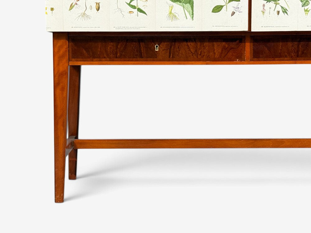 Swedish Modern, Nordens Flora Cabinet, Birch, Floral Lithographs, Sweden, 1940s