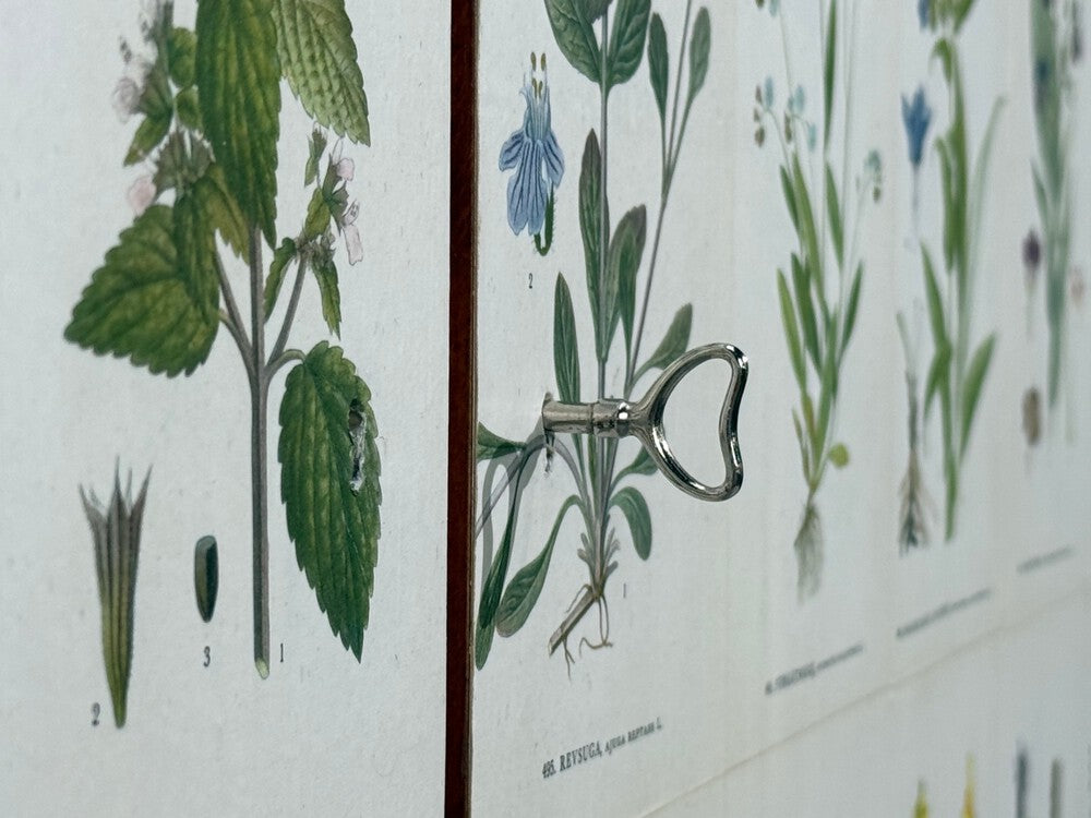 Swedish Modern, Nordens Flora Cabinet, Birch, Floral Lithographs, Sweden, 1940s