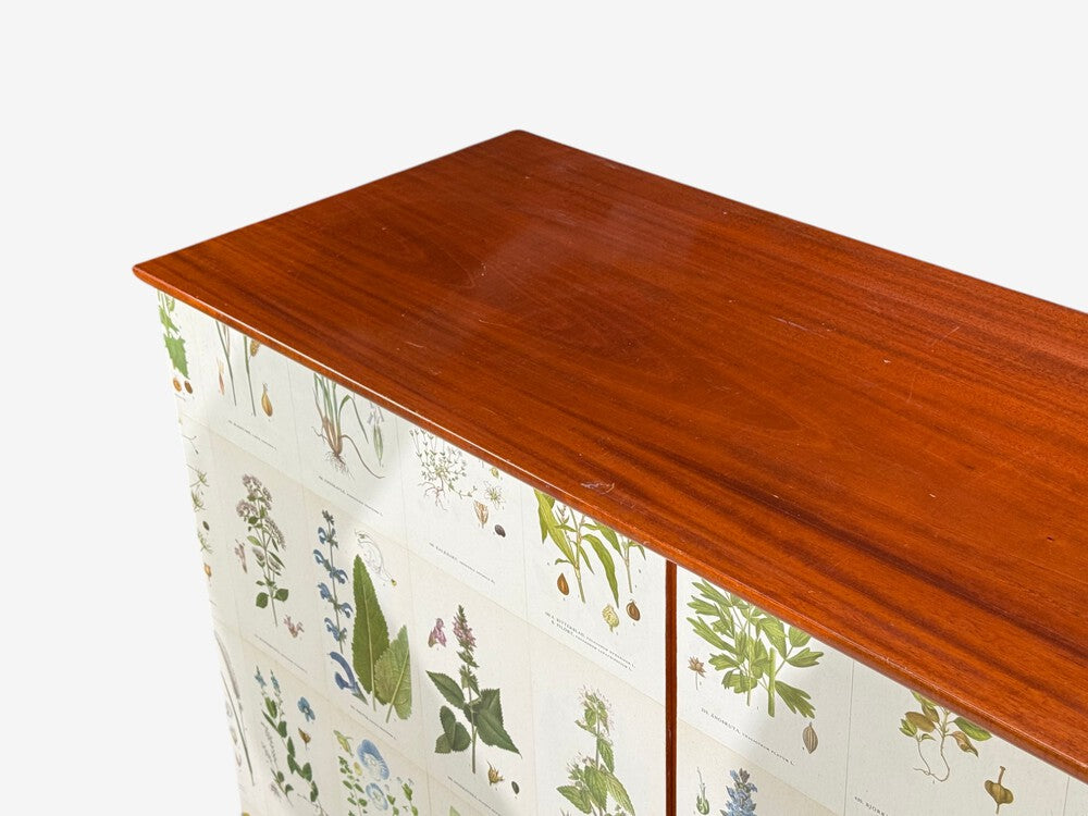 Swedish Modern, Nordens Flora Cabinet, Birch, Floral Lithographs, Sweden, 1940s