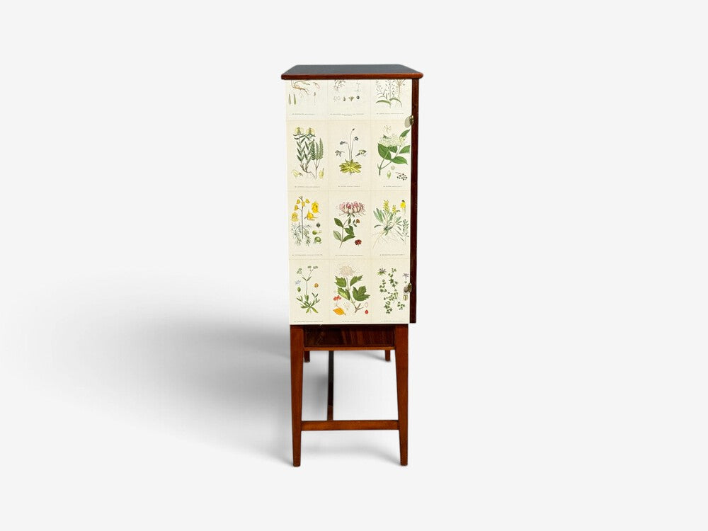 Swedish Modern, Nordens Flora Cabinet, Birch, Floral Lithographs, Sweden, 1940s