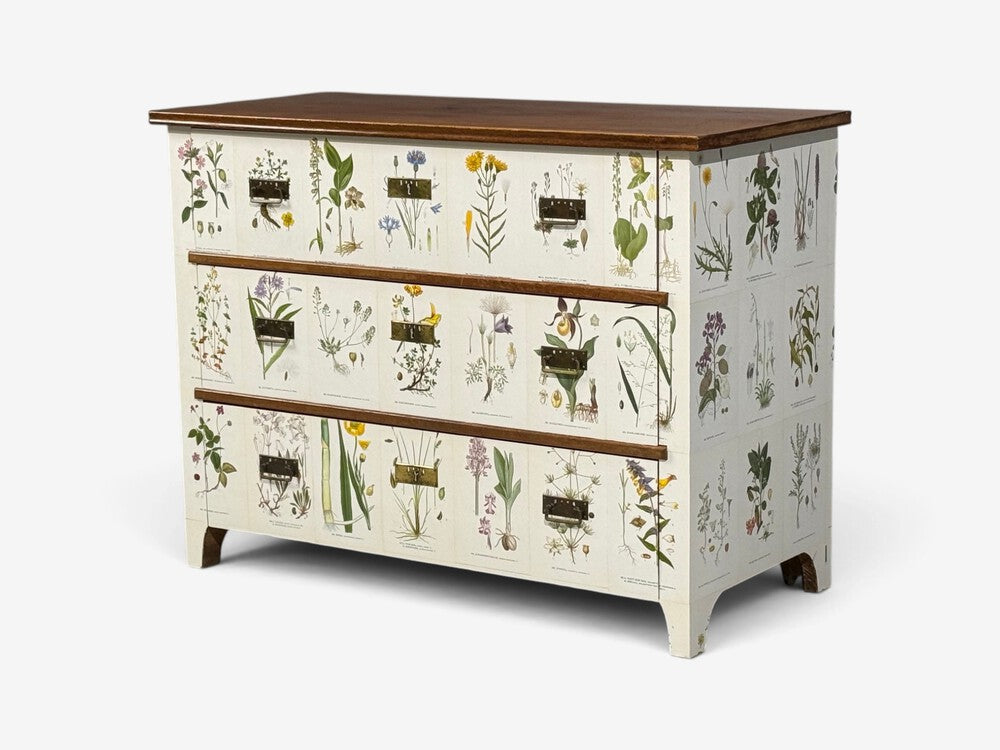 Swedish Modern, Nordens Flora Dresser, Brass, Floral Lithographs, Sweden, 1930s