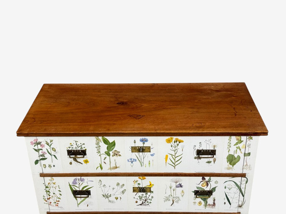 Swedish Modern, Nordens Flora Dresser, Brass, Floral Lithographs, Sweden, 1930s