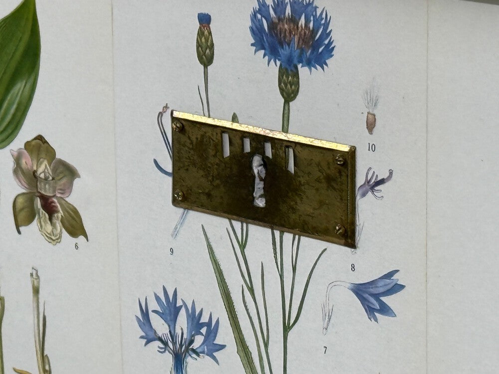 Swedish Modern, Nordens Flora Dresser, Brass, Floral Lithographs, Sweden, 1930s