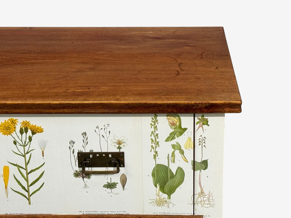 Swedish Modern, Nordens Flora Dresser, Brass, Floral Lithographs, Sweden, 1930s