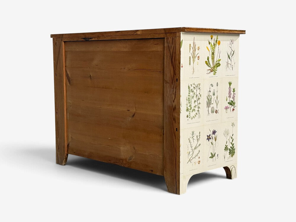 Swedish Modern, Nordens Flora Dresser, Brass, Floral Lithographs, Sweden, 1930s