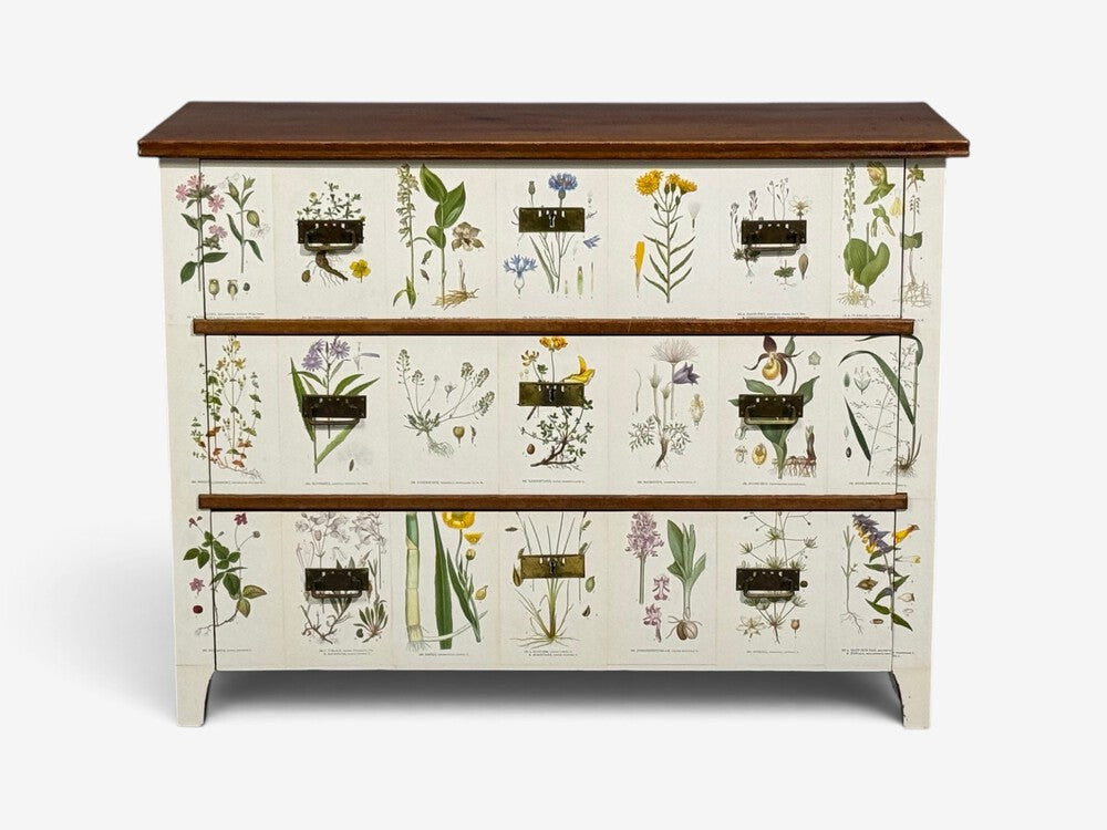 Swedish Modern, Nordens Flora Dresser, Brass, Floral Lithographs, Sweden, 1930s