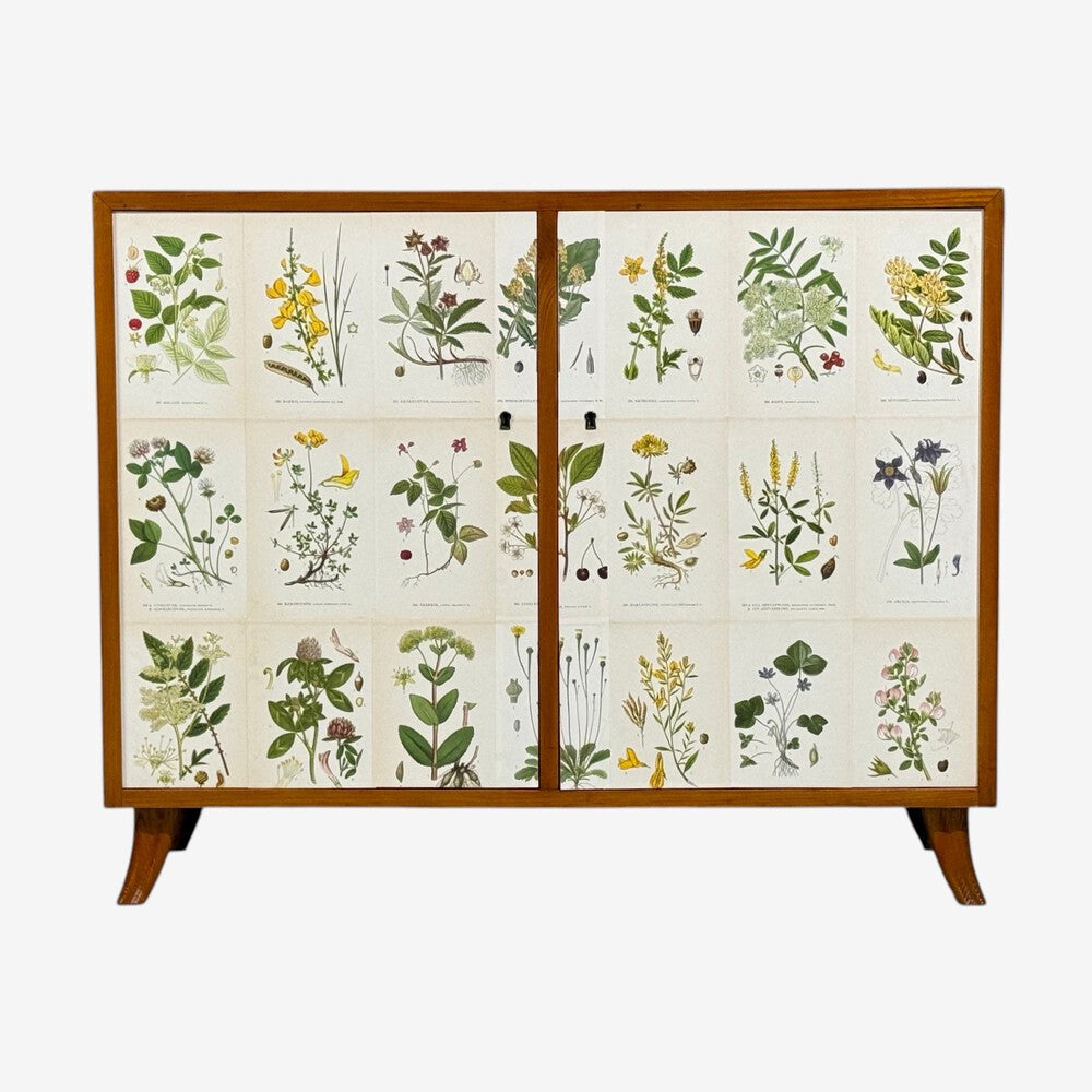 Swedish Modern, Nordens Flora Cabinet, Brass, Floral Lithographs, Sweden, 1930s