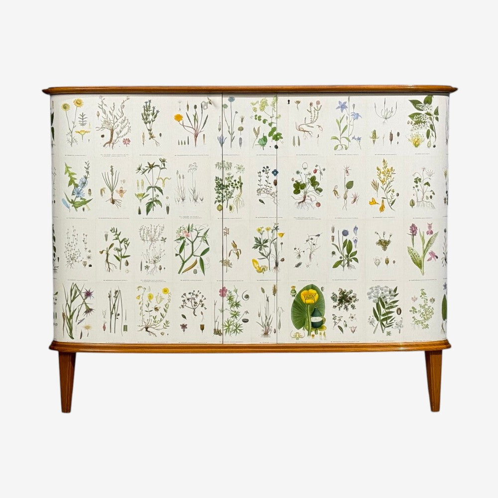 Swedish Modern, Nordens Flora Cabinet, Elm, Floral Lithographs, Sweden, 1940s