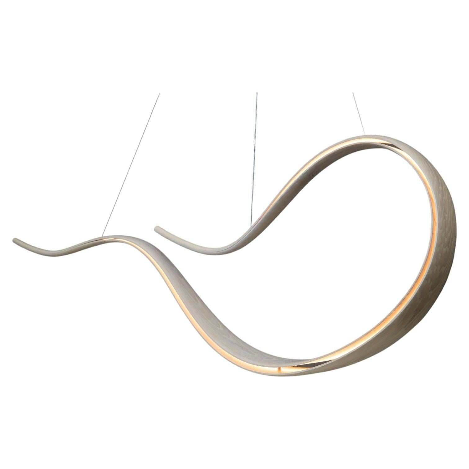 Adam Bentz, Contemporary, Ashwood, Organic Chandelier, LED, USA, 21st C.