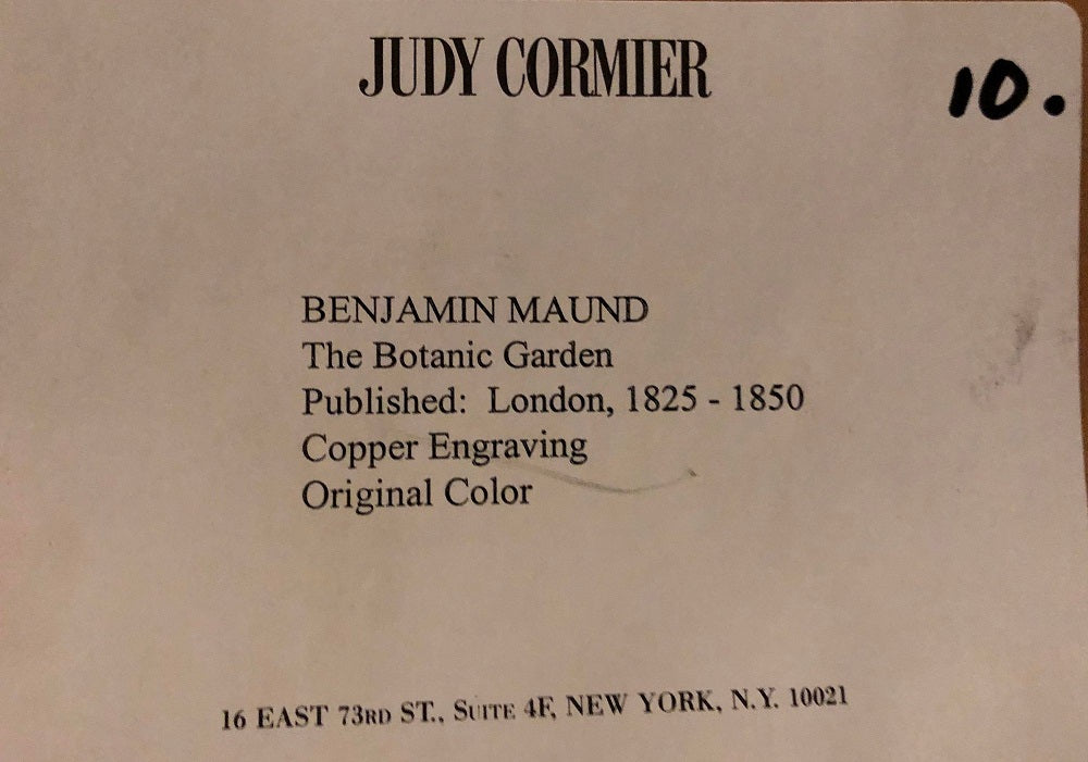 Ten Copperplate Engravings in Gilt Frames by Benjamin Maund, Judy Cormier Framed