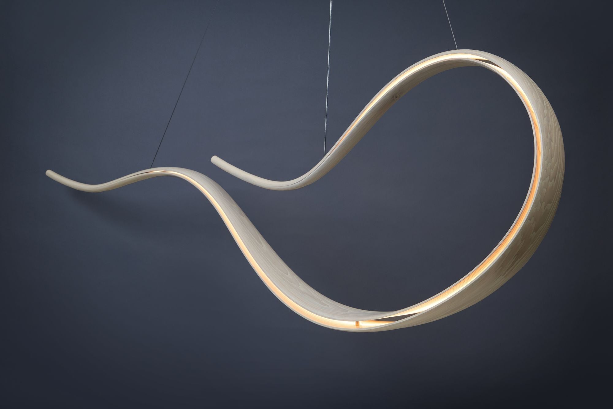 Adam Bentz, Contemporary, Ashwood, Organic Chandelier, LED, USA, 21st C.