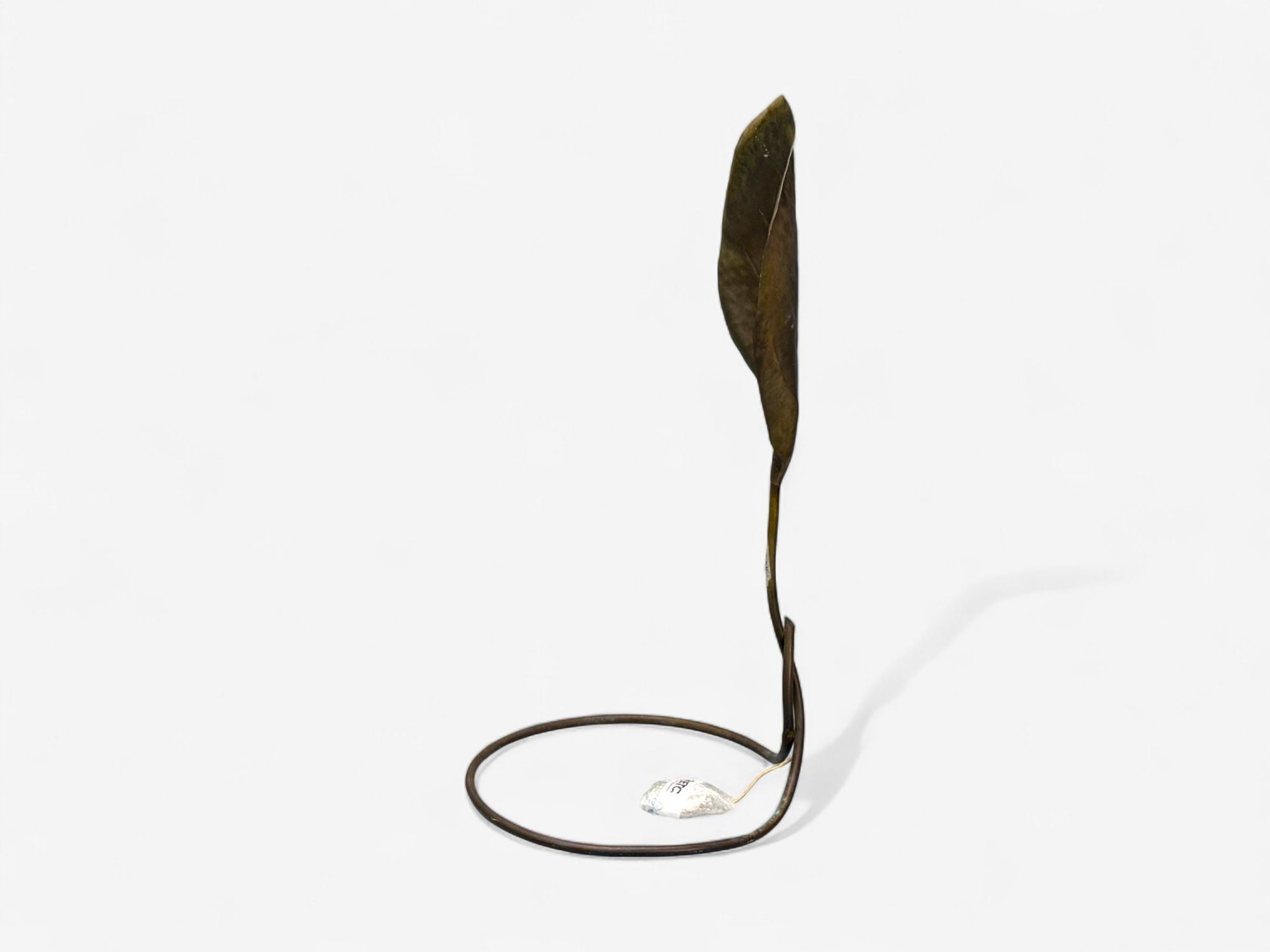 Tomasso Barbi, Patinated Brass, Ginko Leaf Floor Lamp, Italy, 1970s