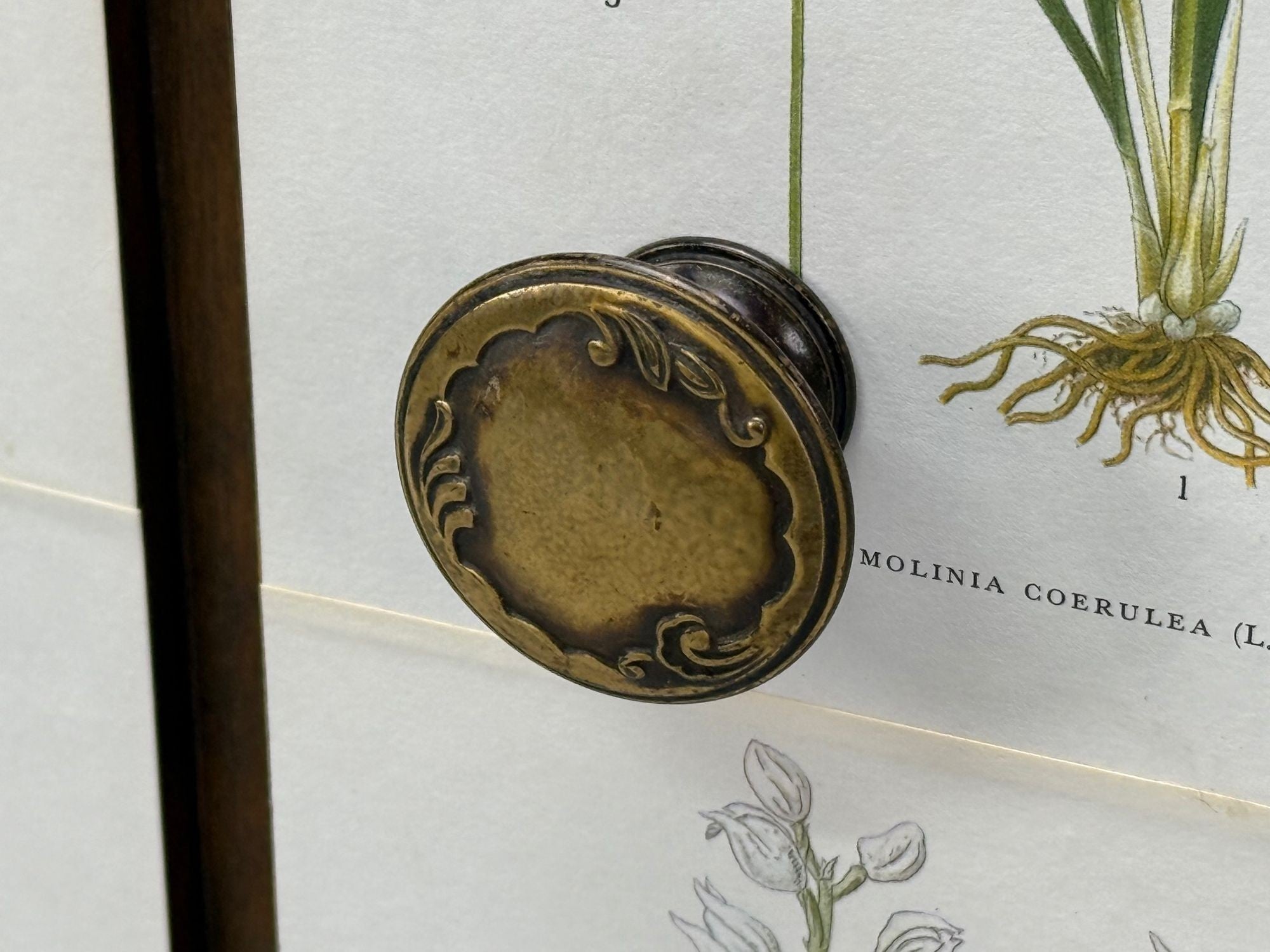 Swedish Modern, Nordens Flora Credenza, Wallpaper, Birch, Sweden, 1940s