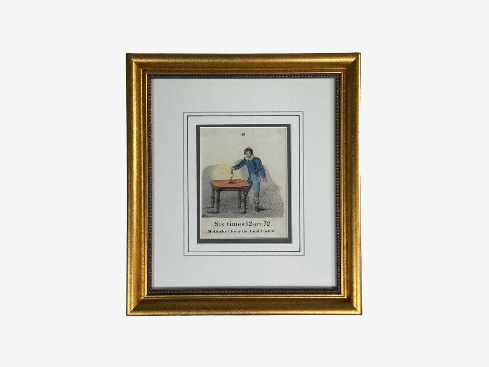 Twelve Copper Engravings, Hand Coloured, Gilt Frames, England, 1900s