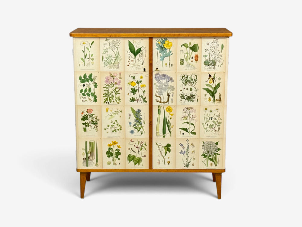 Swedish Modern, Nordens Flora Cabinet, Birch, Floral Lithographs, Sweden, 1940s
